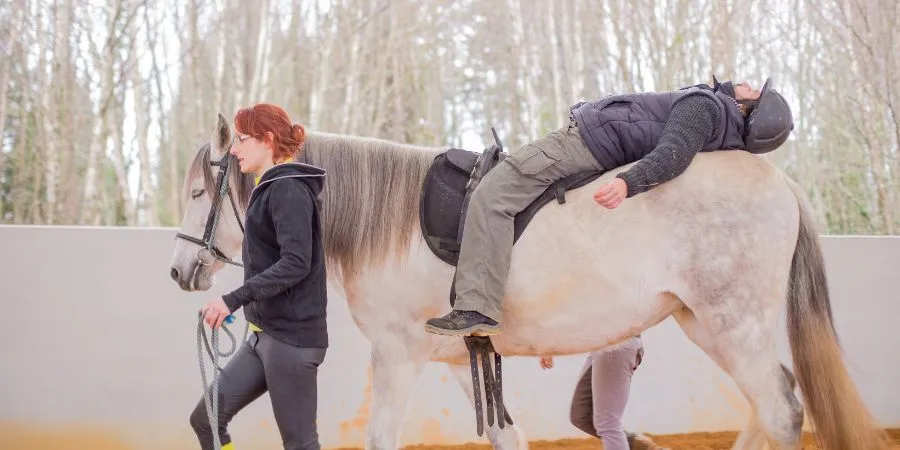 Descubriendo la Hipoterapia: Terapia Innovadora con Caballos