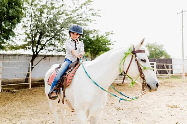 Experiencia con Caballos: ¿Necesaria para Participar en Hipoterapia?